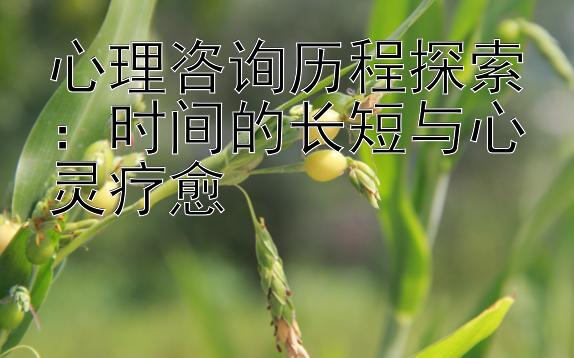 心理咨询历程探索：时间的长短与心灵疗愈