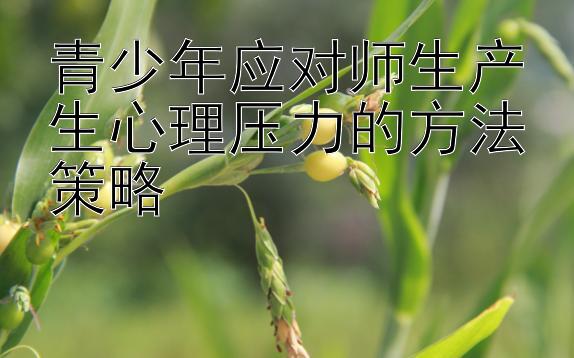 青少年应对师生产生心理压力的方法策略