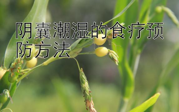 阴囊潮湿的食疗预防方法