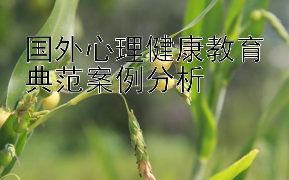 国外心理健康教育典范案例分析