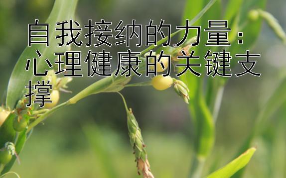 自我接纳的力量：心理健康的关键支撑