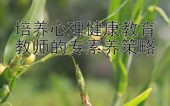 培养心理健康教育教师的专素养策略