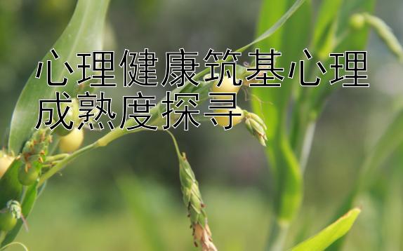 心理健康筑基心理成熟度探寻