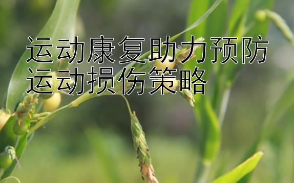 运动康复助力预防运动损伤策略