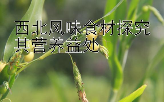 西北风味食材探究其营养益处