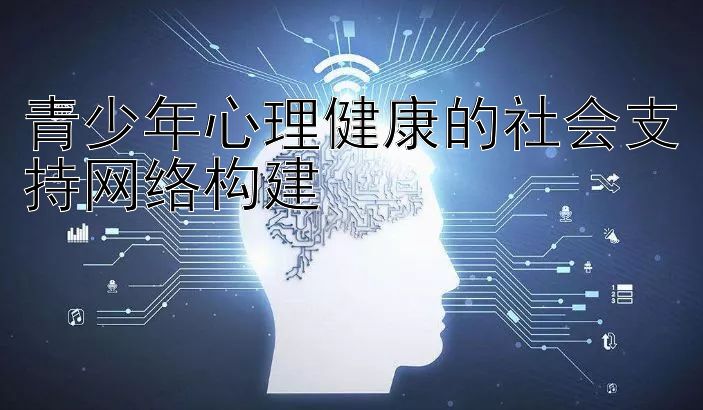 青少年心理健康的社会支持网络构建