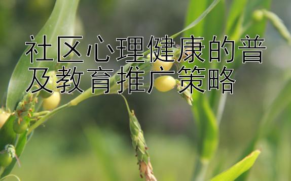 社区心理健康的普及教育推广策略