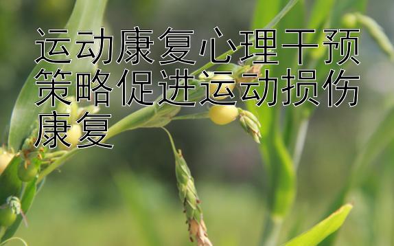 运动康复心理干预策略促进运动损伤康复