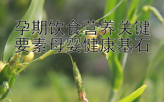 孕期饮食营养关键要素母婴健康基石