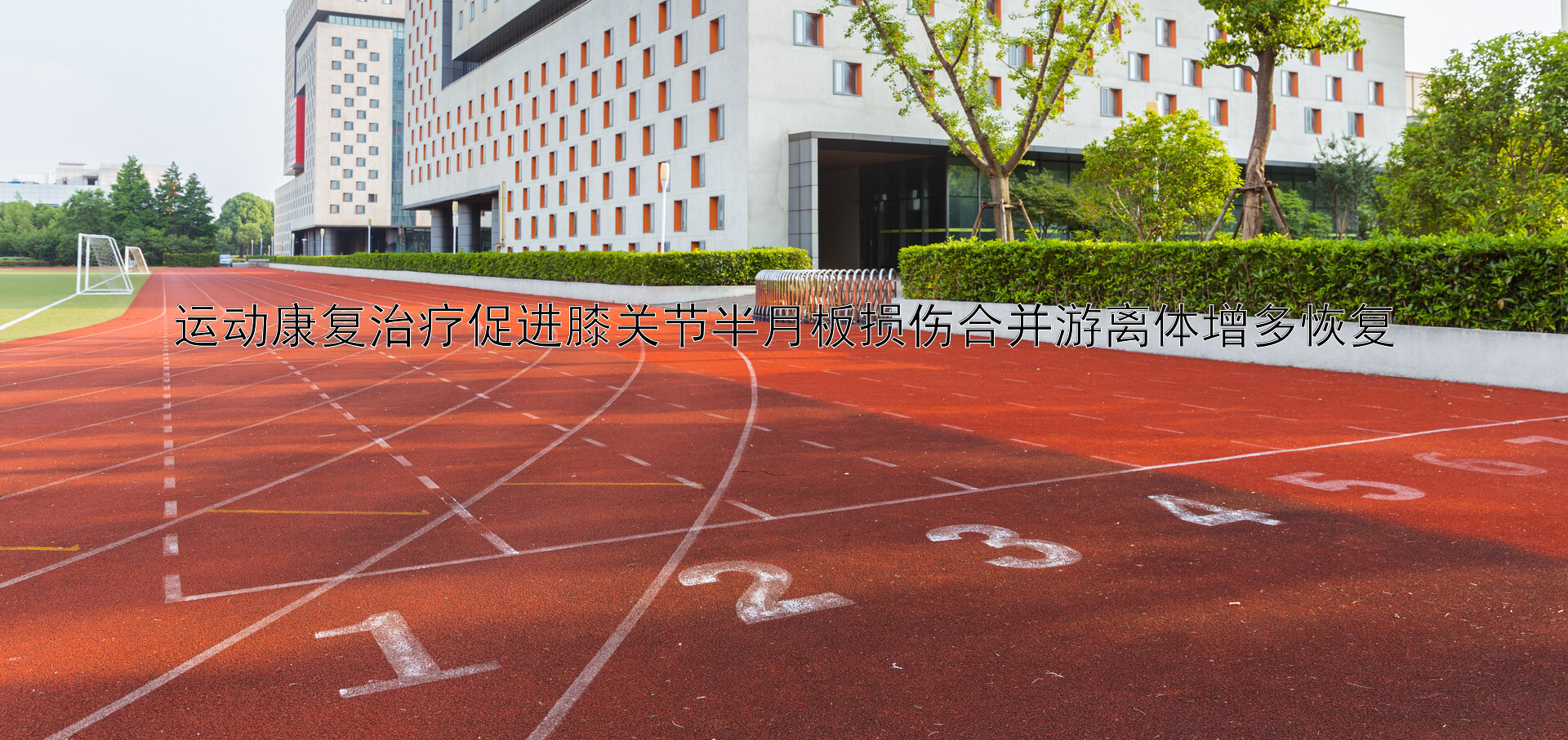 运动康复治疗促进膝关节半月板损伤合并游离体增多恢复