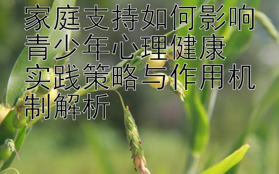 家庭支持如何影响青少年心理健康  
实践策略与作用机制解析