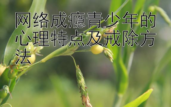 网络成瘾青少年的心理特点及戒除方法