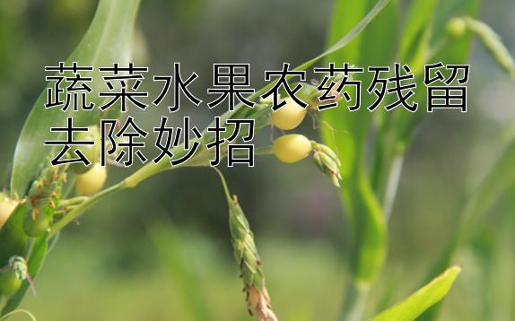 蔬菜水果农药残留去除妙招